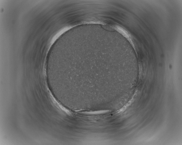 X0000067871141200604201211