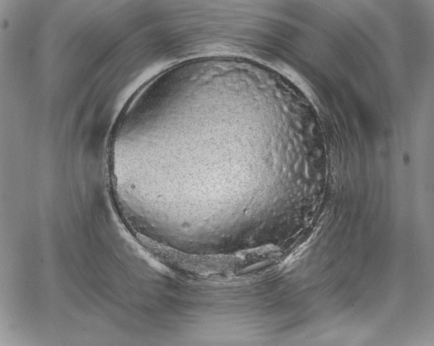 X0000067871142200604201211