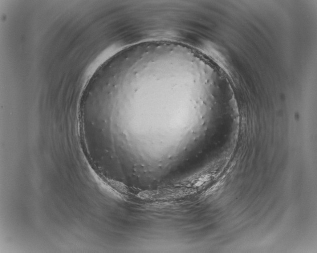 X0000067871143200604201211