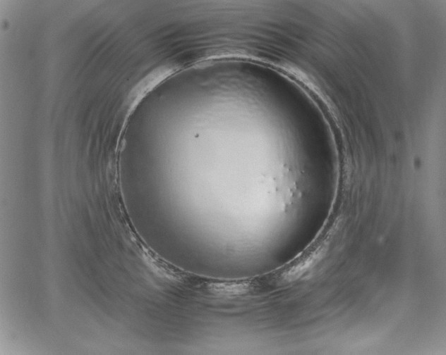 X0000067871145200604201211