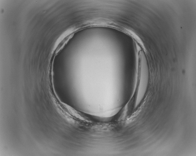 X0000067871146200604201211