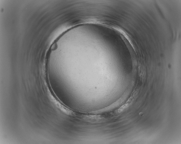 X0000067871147200604201211