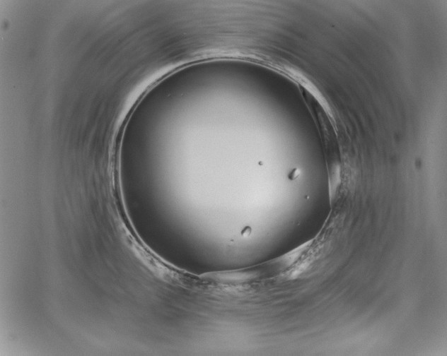 X0000067871148200604201211