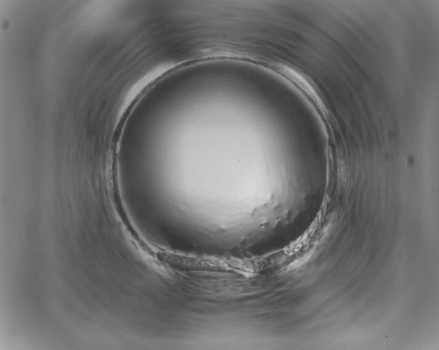 X0000067871149200604201211