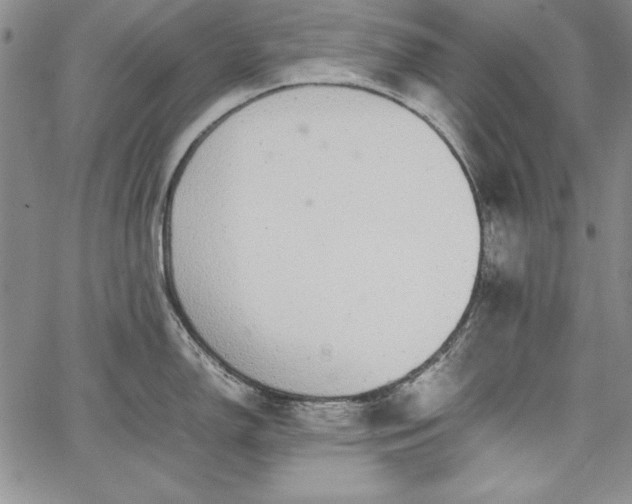 X0000067871150200604201211