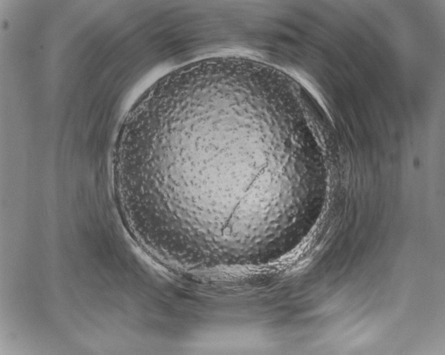 X0000067871151200604201211