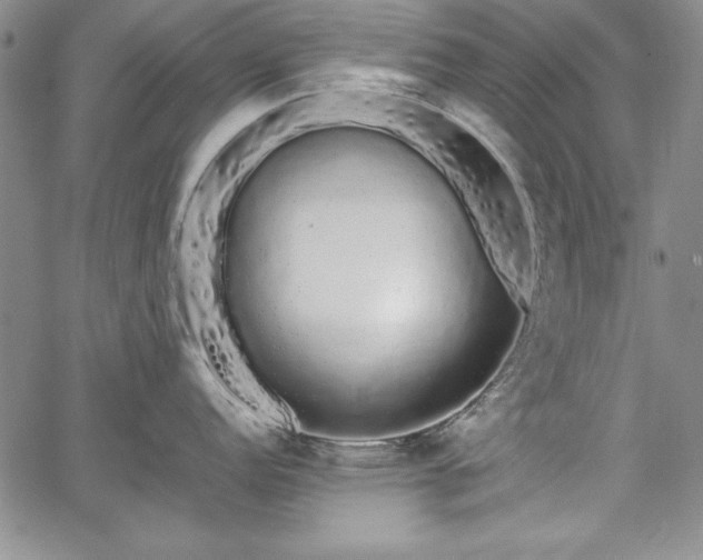 X0000067871152200604201211