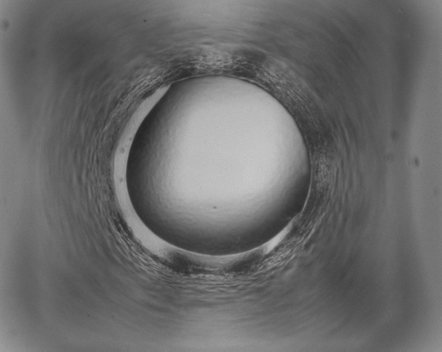 X0000067871153200604201210