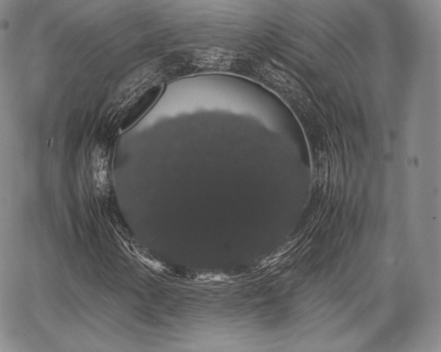 X0000067871154200604201210