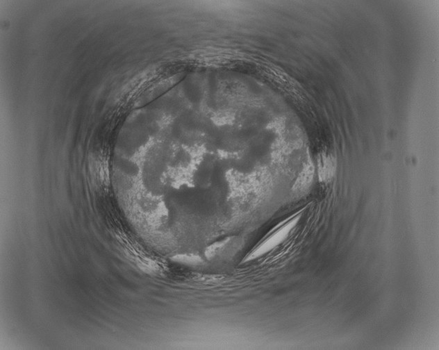 X0000067871155200604201210