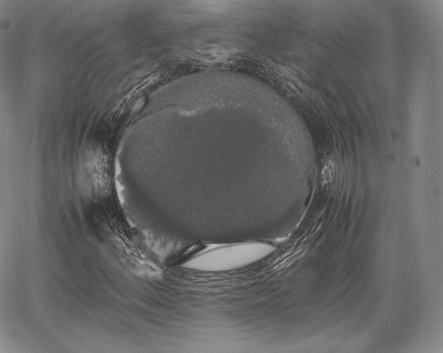 X0000067871156200604201210