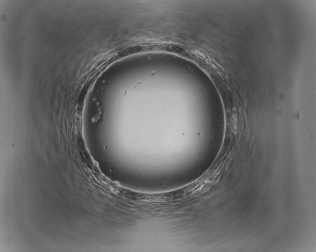 X0000067871157200604201210