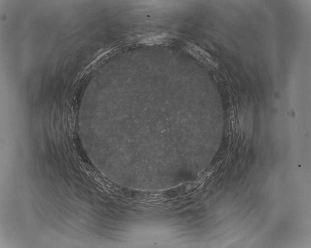 X0000067871158200604201210