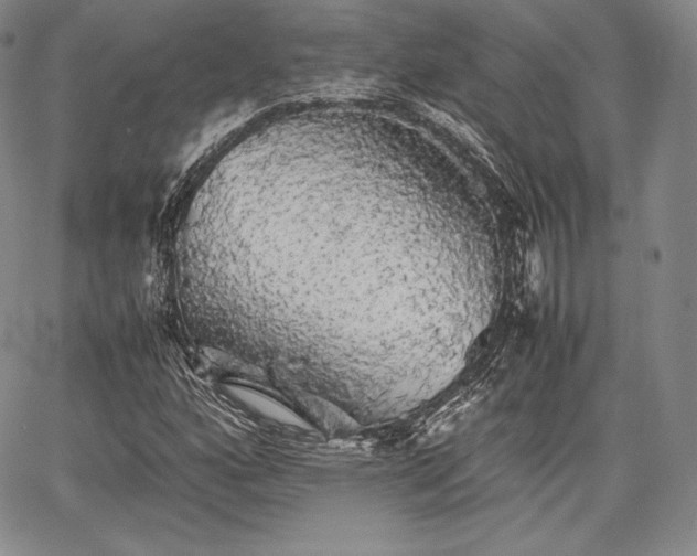 X0000067871160200604201210