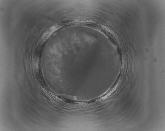 X0000067871161200604201210