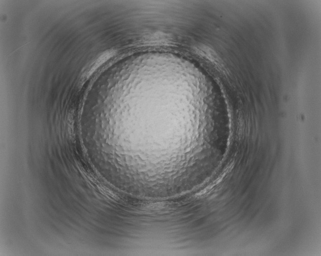 X0000067871162200604201210