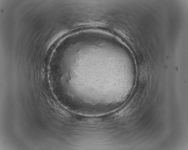 X0000067871163200604201210