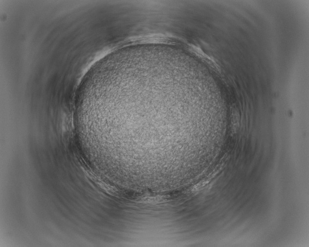 X0000067871166200604201210