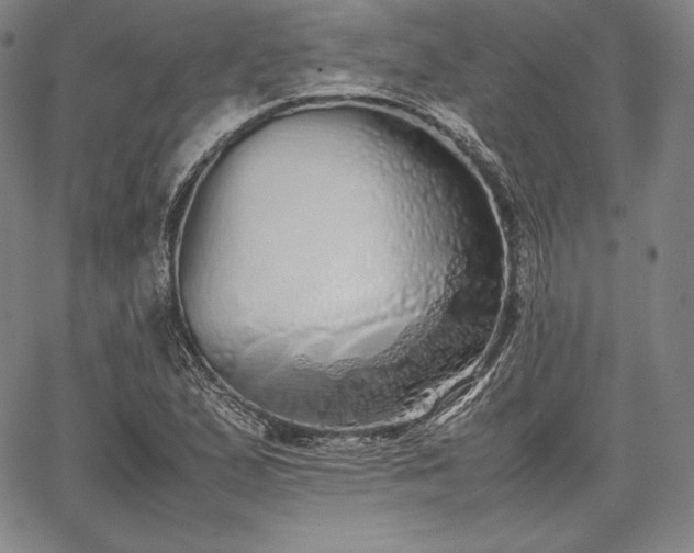 X0000067871167200604201210