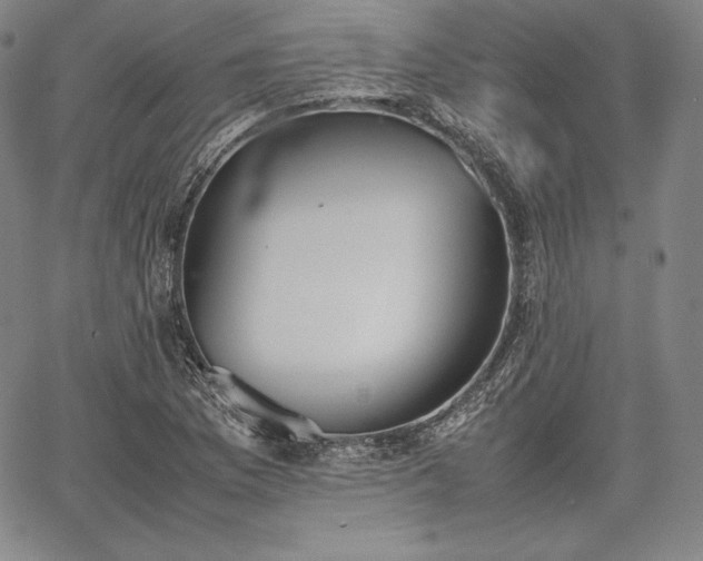 X0000067871169200604201210