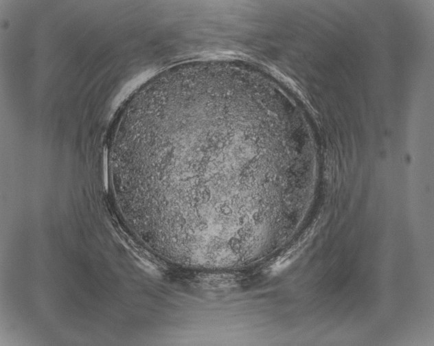 X0000067871171200604201210