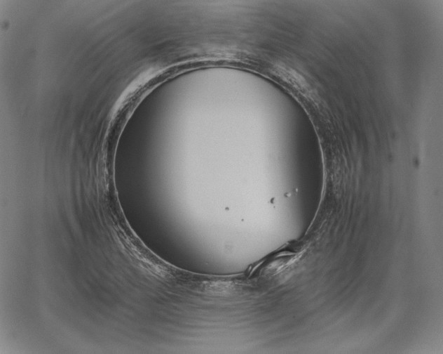 X0000067871172200604201210