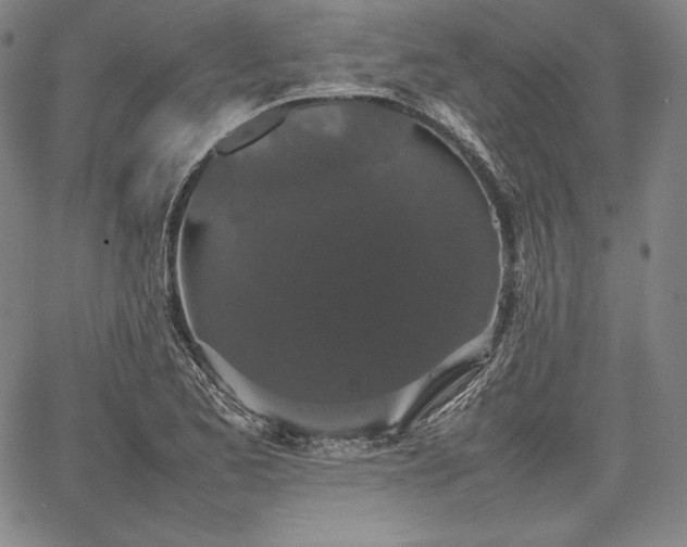 X0000067871173200604201210