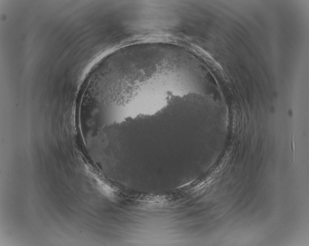 X0000067871174200604201210