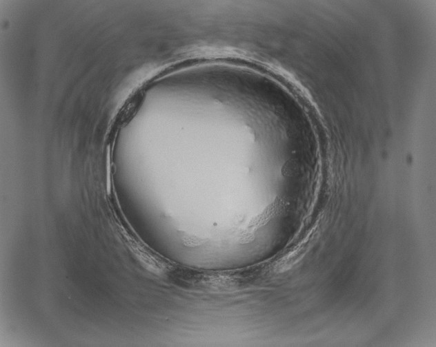 X0000067871175200604201210