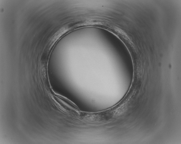 X0000067871177200604201210