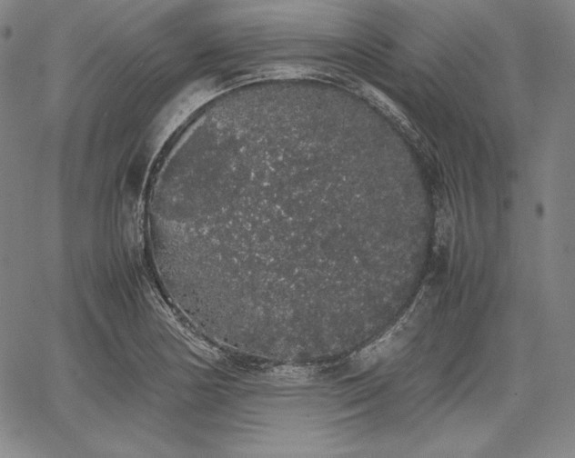 X0000067871178200604201210