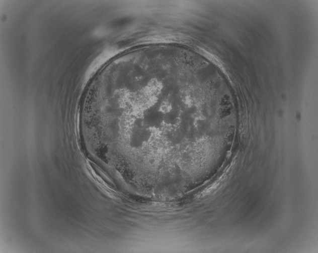 X0000067871179200604201210