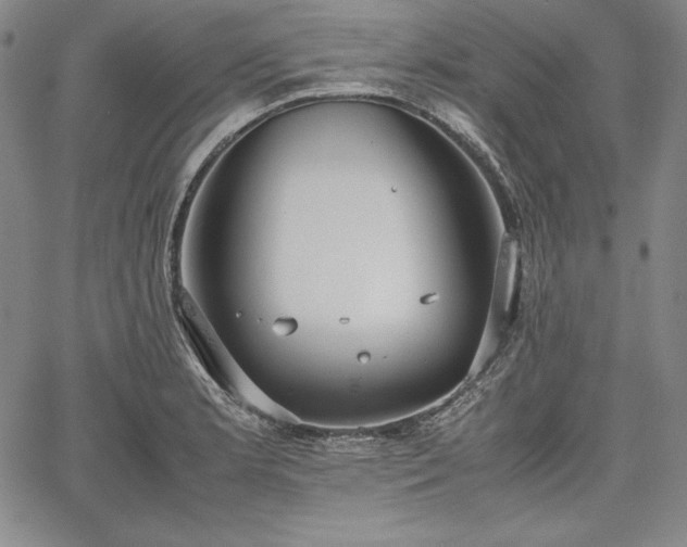 X0000067871181200604201210