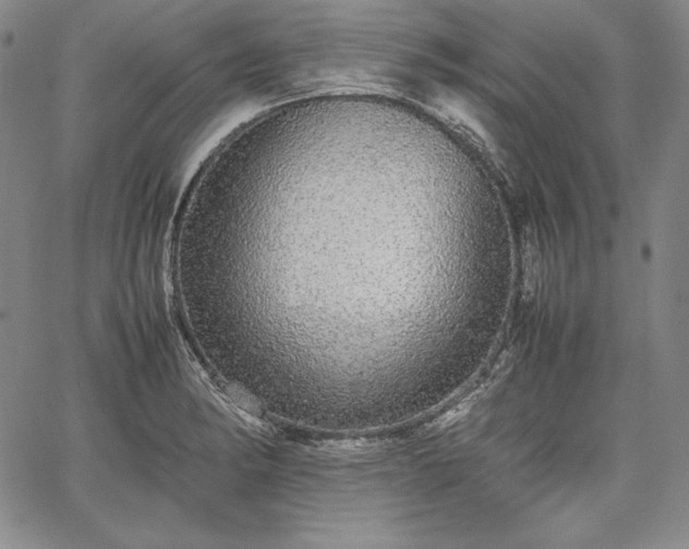 X0000067871182200604201210