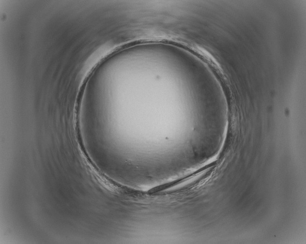 X0000067871183200604201210