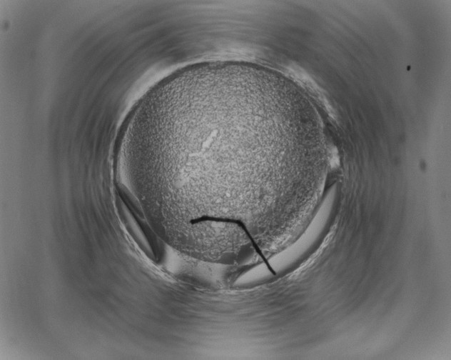 X0000067871184200604201210