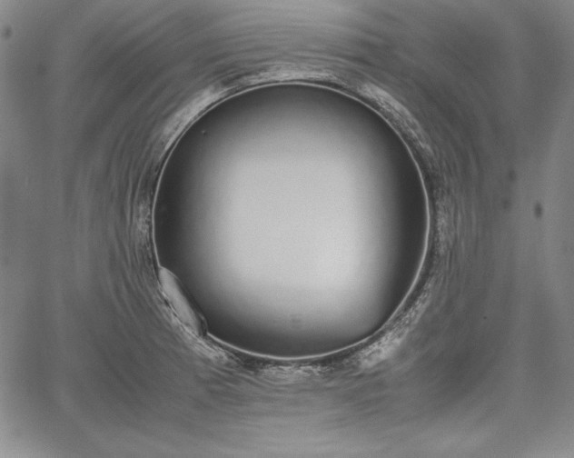 X0000067871185200604201210