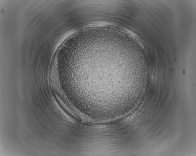 X0000067871186200604201210