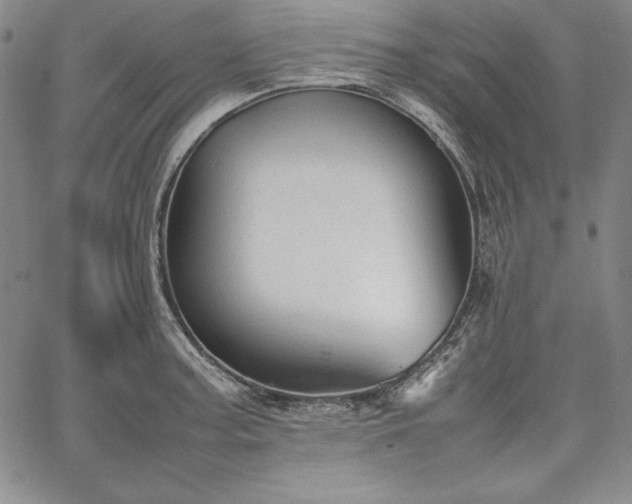 X0000067871187200604201210