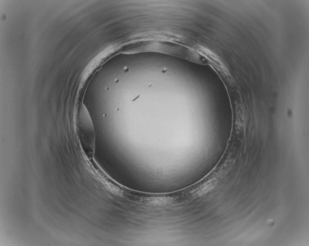 X0000067871188200604201210