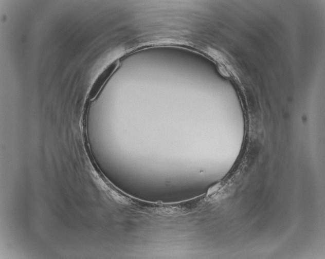 X0000067871189200604201210