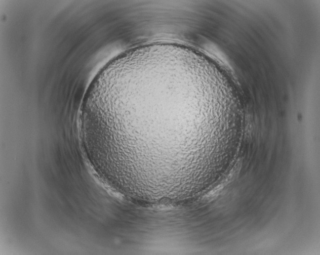 X0000067871190200604201210