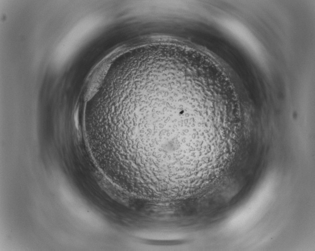 X0000067871198200604201210