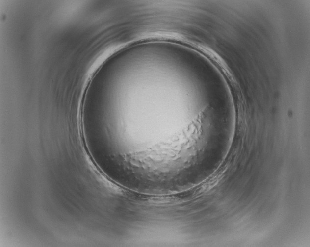 X0000067871199200604201210