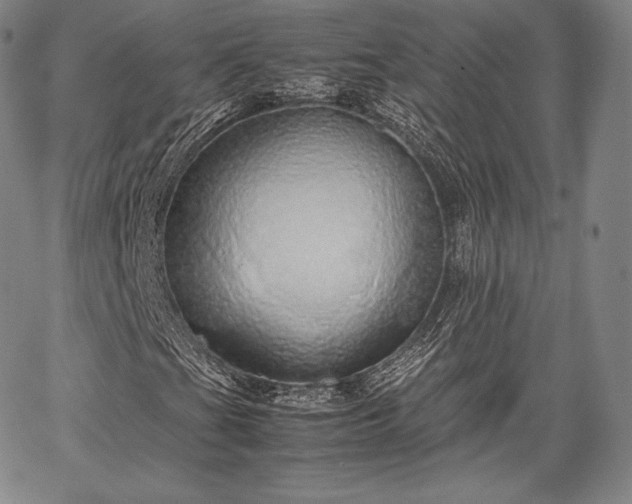 X0000067871201200604201209