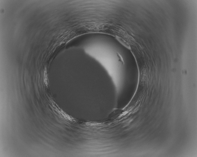 X0000067871202200604201209