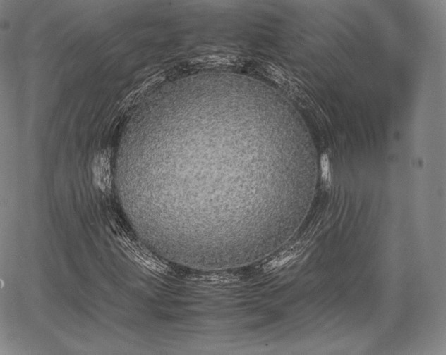 X0000067871203200604201209