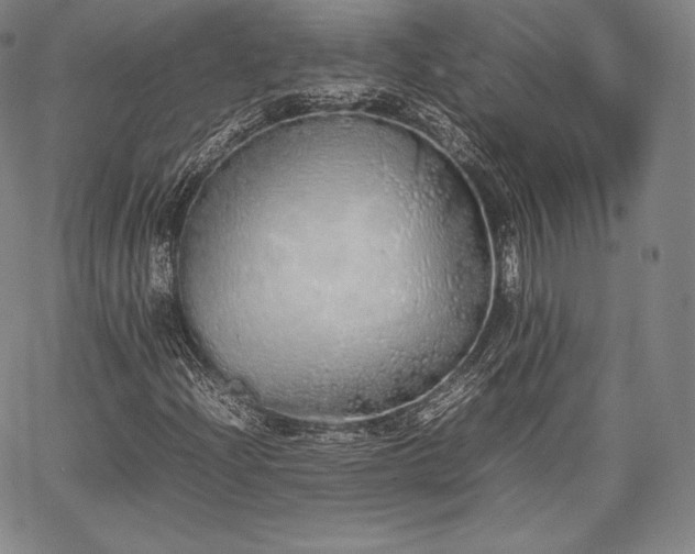 X0000067871204200604201209