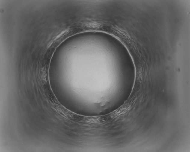 X0000067871205200604201209