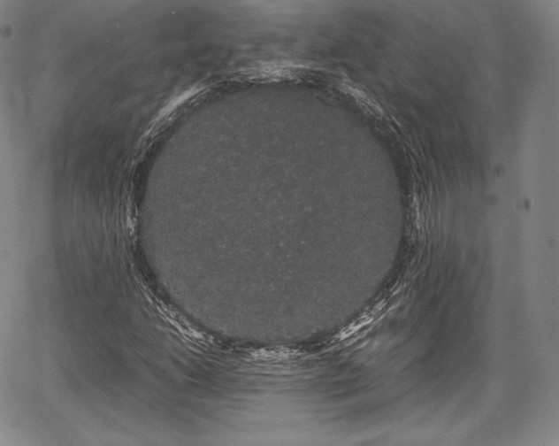 X0000067871206200604201209